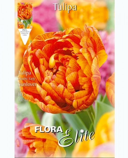 Gefüllte frühe Tulpe `Sunlover&#039; (Art.Nr. 5951740)