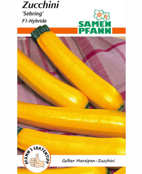 Zucchini 'Sebring' - F1-Hybride (Art.Nr. G498)