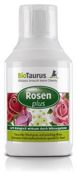 Rosen plus von BioTaurus