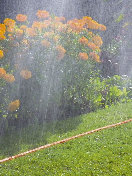Gardena Schlauchregner im Einsatz