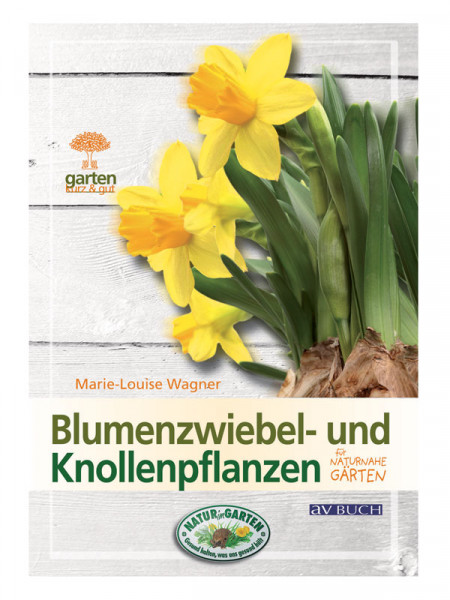 BdB-Handbuch &#039;&#039;Blumenzwiebeln&#039;&#039;