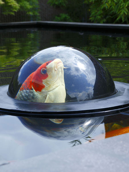 Floating Fish Sphere M von Velda (Art.Nr. Vel123503)