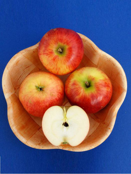 Der Apfel 'Gerlinde' in einer Holzschale