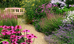 Pflanzen für den Bauerngarten