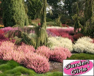 Sommerheide GardenGirls