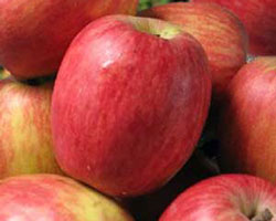 Apfel Braeburn