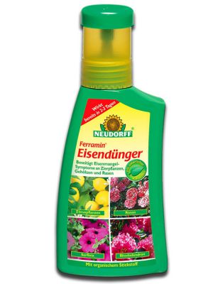 passauer-goldpomeranze-poncirus-trifoliata-passau-ha00010300